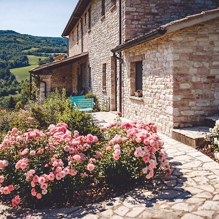 Agriturismo Casal San Sergio Fossombrone Ngoại thất bức ảnh