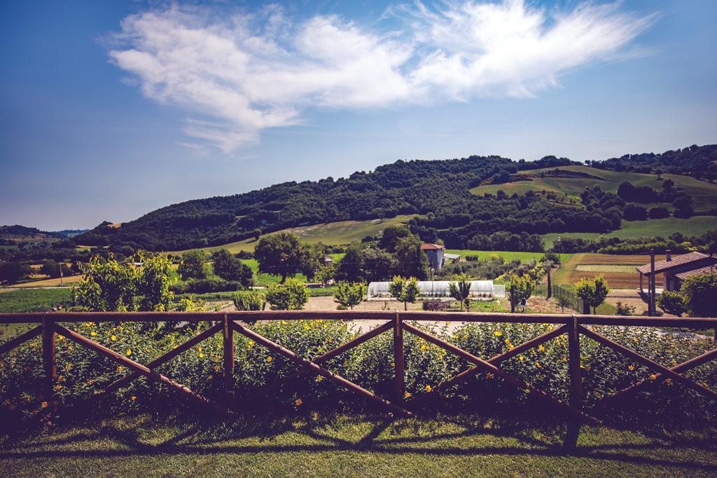 Agriturismo Casal San Sergio Fossombrone Ngoại thất bức ảnh