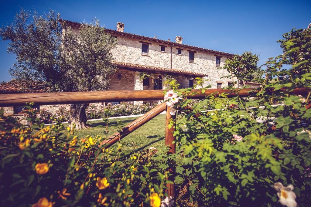 Agriturismo Casal San Sergio Fossombrone Ngoại thất bức ảnh